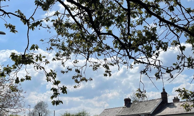 Llanvihangel Crucorney House | ROSE COTTAGE, pet friendly, character holiday cottage in Abergavenny