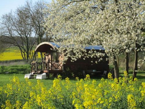 Chatillon-sur-Marne Bed & Breakfast | Roulotte panoramique du Moulin