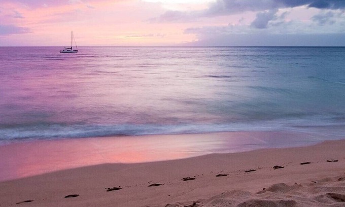 Anse Royale Apartment | Royal Suites by Arc Royal Luxury Apartments (2BR)