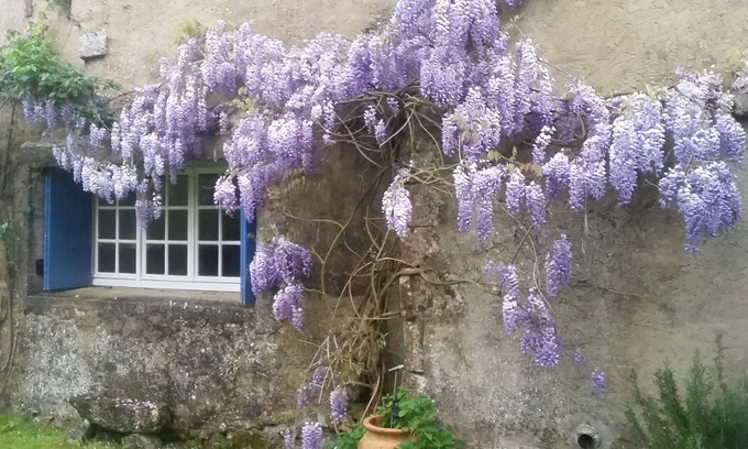 Grezac House | Rural peaceful house close to beach, golf and shops. House sleeps 7/9.