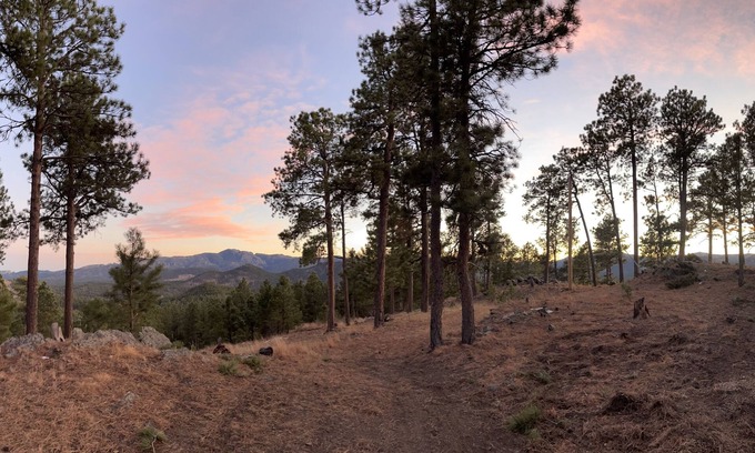 Hill City Cabin | Rustic Family Mountain Top Cabin! 360 degree “million dollar” Black Hills views!