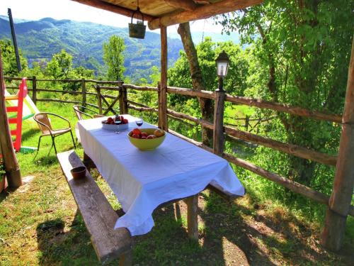 Ortignano Raggiolo House | Rustic Holiday Home in Ortignano with Swimming Pool