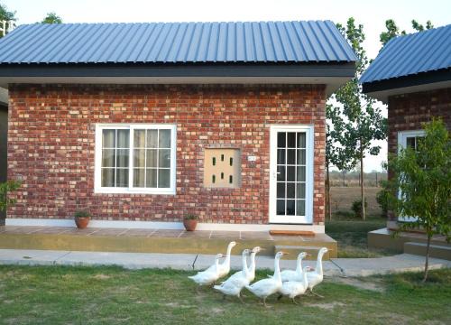 Atari House | Rustic Roots Farm Stay