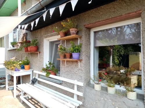 Polski Trambesh Apartment | Rustic Village Retreat