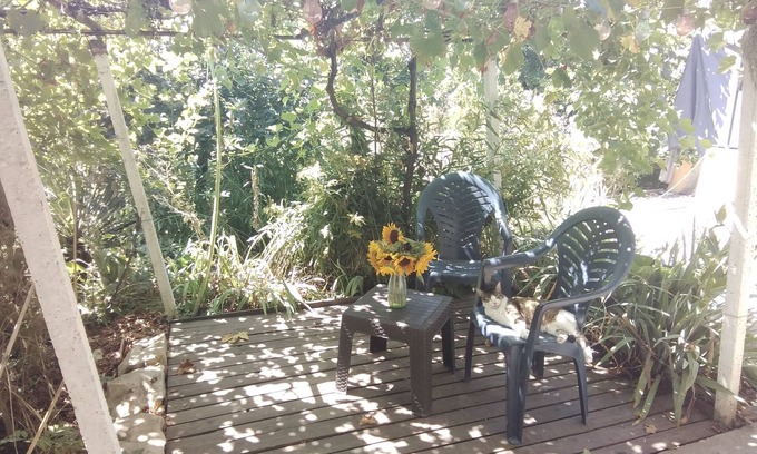 Polski Trambesh House | Rustic village retreat in rural Bulgaria. With cats, dog and chickens π