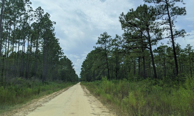 Edgar House | RV for the entire family or a just one person. 0ver 250 miles of riding trails