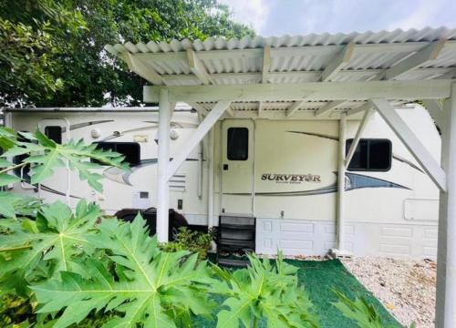 Homestead Other | RV in the Little Jungle by Legnalife