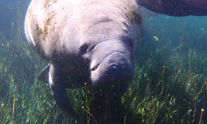 Homosassa RV Rental | RV rustic parking 1/4acre quiet unpaved road, close to 19. (Water only hookup)