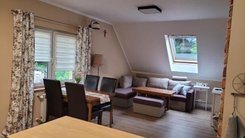 Czarna Dabrowka Apartment | Ryby i grzyby