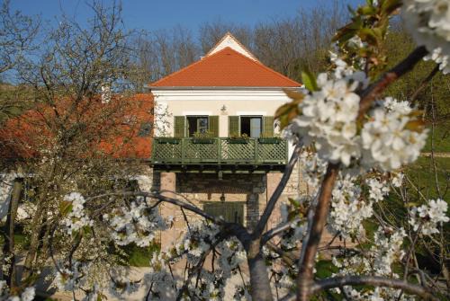 Kaptalantoti House | Sárga Ház