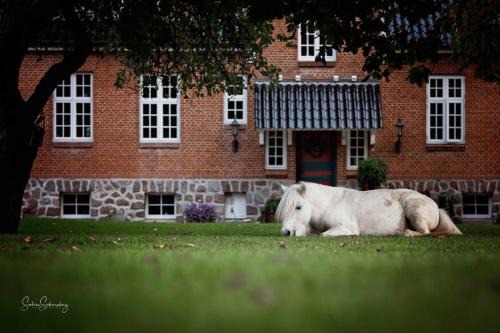 Rodekro Bed & Breakfast | Søstgård B&B