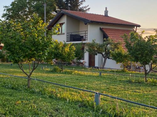 Ranilug House | s t d -PARADISO-