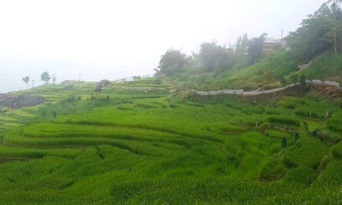 Hau Thao Bed & Breakfast | Sapa Mushroom Homestay