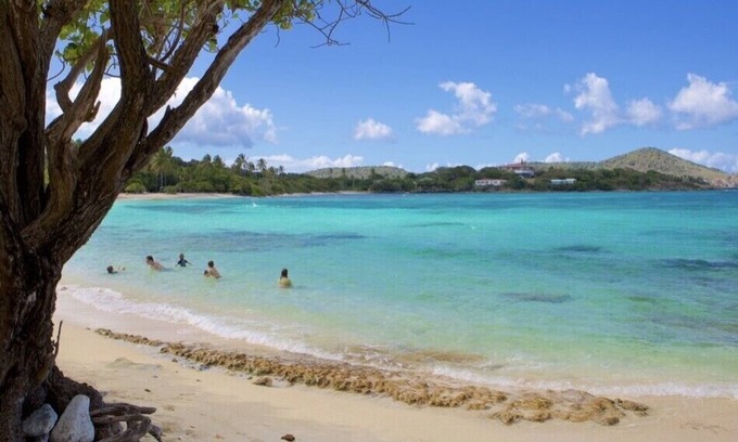 Red Hook Condo | Sapphire Beach; St Thomas USVI; Sleep 4; STEPS FROM BEACH