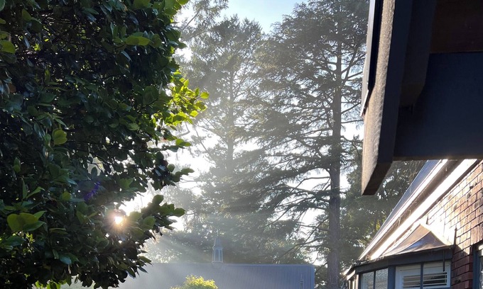 Sassafras House | Sassafras guest house