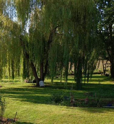 Betpouy Apartment | SAULE ET RIVIERE