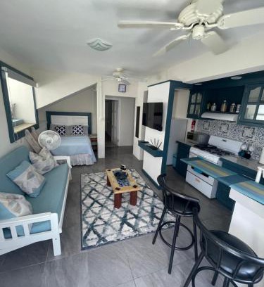Haggatt Hall Apartment | Scarlett Studios 2 - US Embassy Appt 7 mins drive-Lloyd Erskine Sandiford Centre & Ross Uni 5 mins drive - Only the 1 night package includes Airport and Embassy roundtrip
