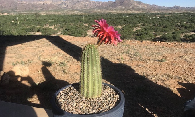 Rio Rico House | Scenic View of Santa Cruz River Valley and Mountains