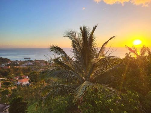 Canefield Villa | Scotland Villa-Dominica