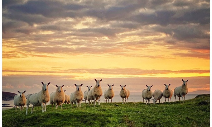 Isle of Gigha Cottage | SCOTTISH ISLAND ISLE OF GIGHA