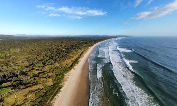 Scotts Head House | Scotts Head Surf Shax #4 Turquoise