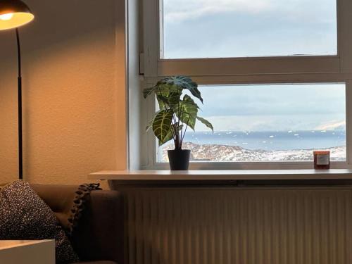 Ilulissat House | Sea & City view Guesthouse