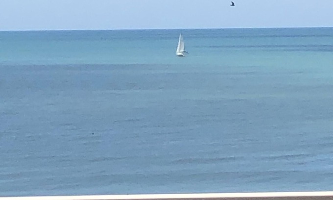 Redington Shores Condo | Sea La Vie at San Remo