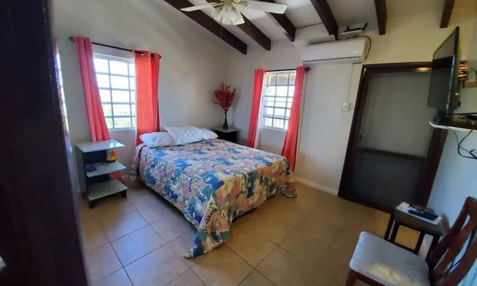 Estate Lower John Dunko Apartment | Sea View Deluxe Suite in St. Thomasnn