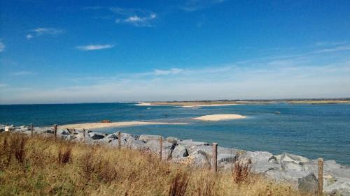 Selsey Apartment | Seashell