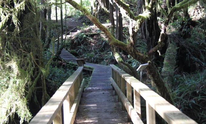 Ucluelet Condo | Seaside
