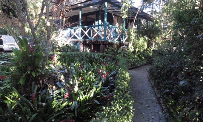 Sydney House | Seaside Tropical SanctuarynLovely coastal home with glorious, tropical garden.n