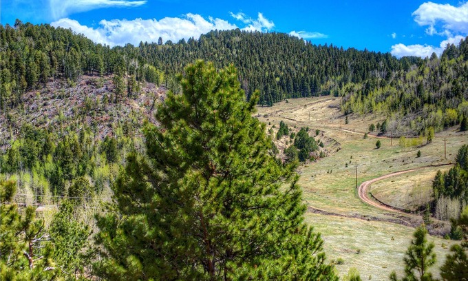 Cripple Creek House | Secluded and scenic Mountain Retreat on 2 acres, Close to Pikes Peak, Good Wifi
