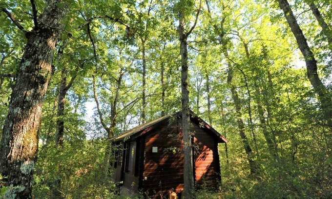 Betcave-Aguin Cabin | Secluded Forest Tiny House with Views