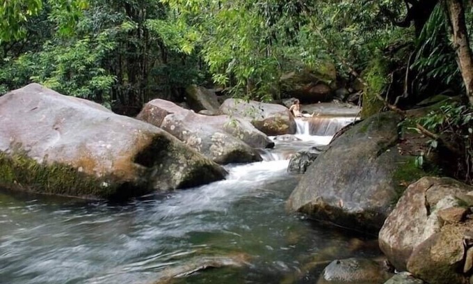 Diwan House | Secluded home hidden in an ancient and enchanted forest with crystal clear creek