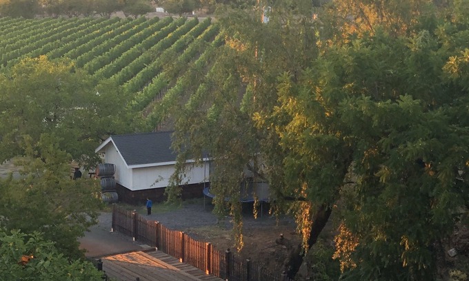 Windsor House | Secluded Luxury Vineyard Estate Guest House