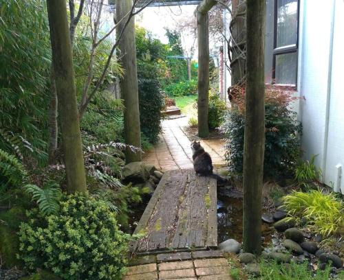 Waitara House | Secret Cottage