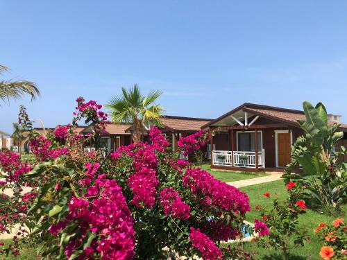 Seki Bed & Breakfast | Sedir Park - Beach Bungalow