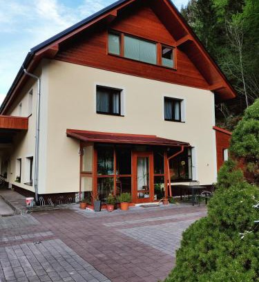 Obertraun House | Seeblick Krippenstein