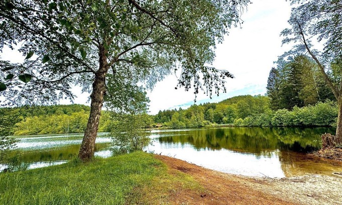 Ludwigswinkel House | Seehaus Luwi Royal - vacation home, shower and bath, WC, 3 bedrooms