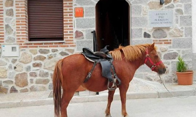 Vega de Santa Maria Cottage | Self catering Abadía del Marqués de Ávila for 4 people