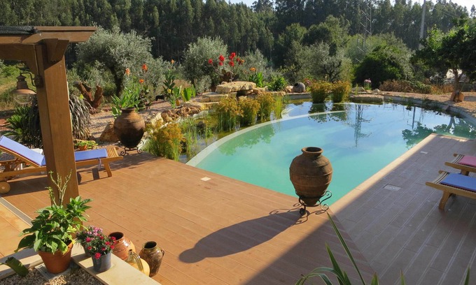 Ansiao Apartment | Self-catering apartment in rural location with gorgeous biological swimming pool