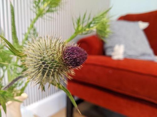 Ronachan Apartment | Self-Catering Suite in rural guest house 10 min to Islay Ferry Terminal