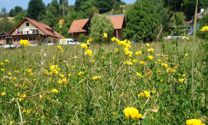 Bad Gams Bed & Breakfast | Seminar- und Erlebnishof Das schwarze Schaf