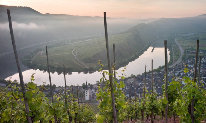 Senheim Apartment | Senhalser Höfe, nut storage ✸✸✸✸✸