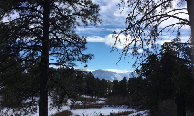 Mancos Cabin | Serene Cabin Retreat