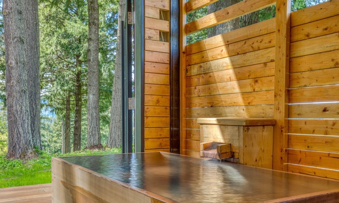 Stevenson Cabin | Serene mountain-view cabin with geothermal hot tub, indoor steam sauna & deck