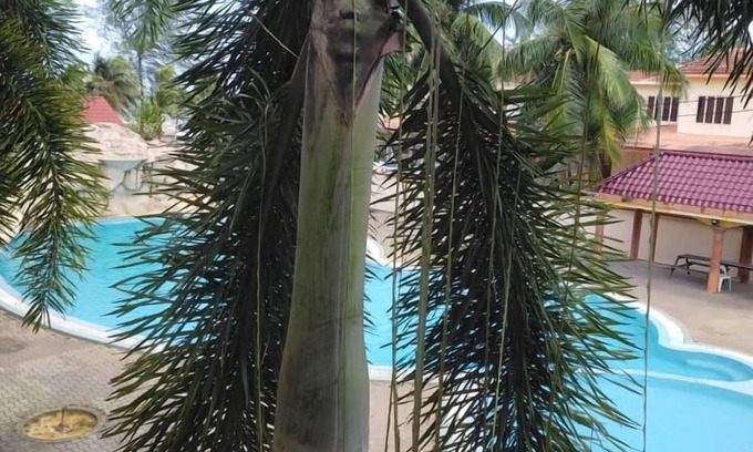 Batu Buruk Hotel | Seri Indah Resort SDN BHD