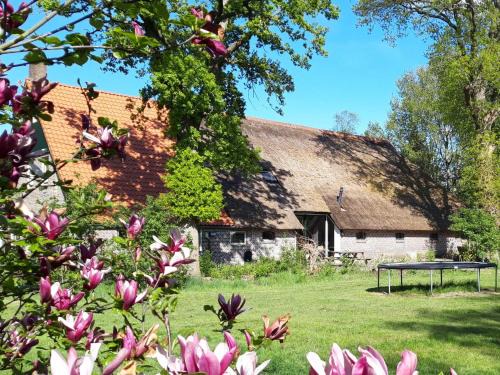 Wateren Apartment | Sfeervolle vakantiewoning midden in het Drents-Friese Wold