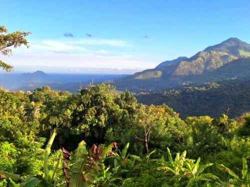 Ella Bed & Breakfast | Shambala Retreat-Villa in Ella with mountain & Waterfall Views