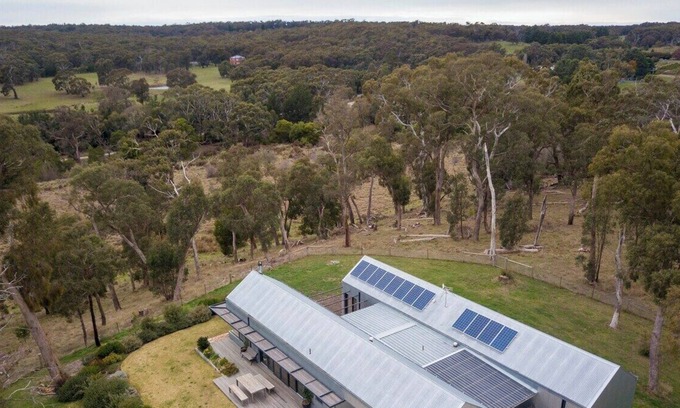 Drummond House | SHEDSTER - TASTE A TREE CHANGE